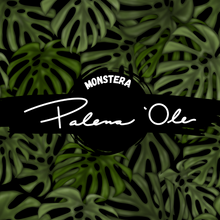 Load image into Gallery viewer, Monstera Seamless Pattern

