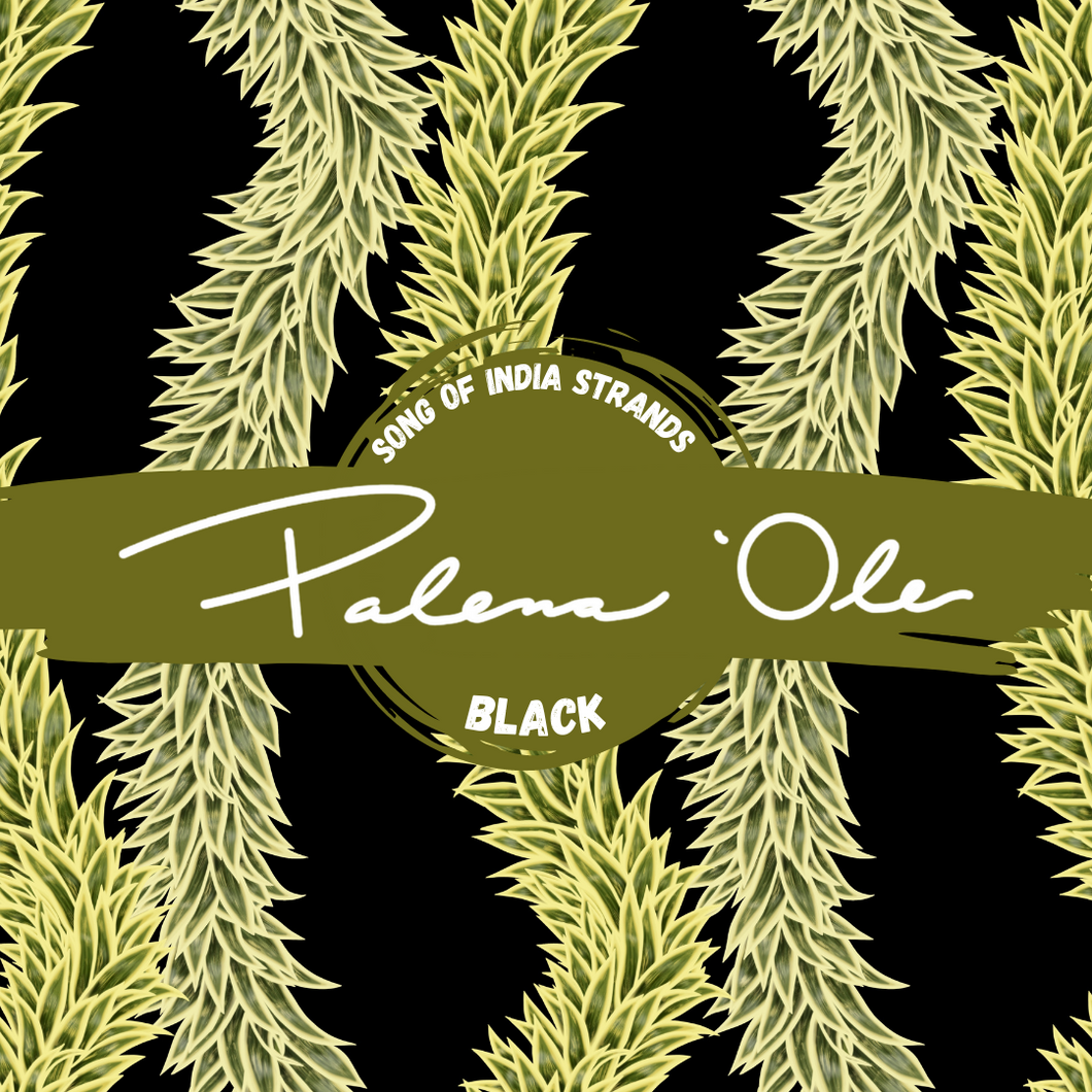 Black Song of India Strands Seamless Pattern
